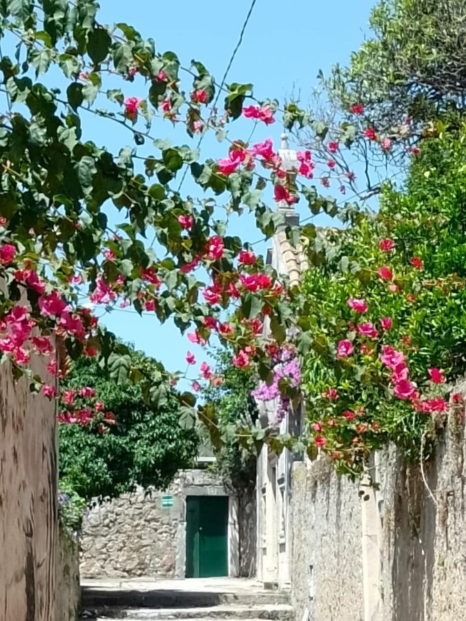 Seaview Dubrovnik Old Town Apartment Екстериор снимка